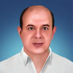 İlhan Varank