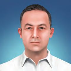 Mustafa Serin